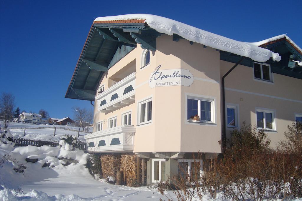 Appartement Alpenblume Schladming Exterior foto